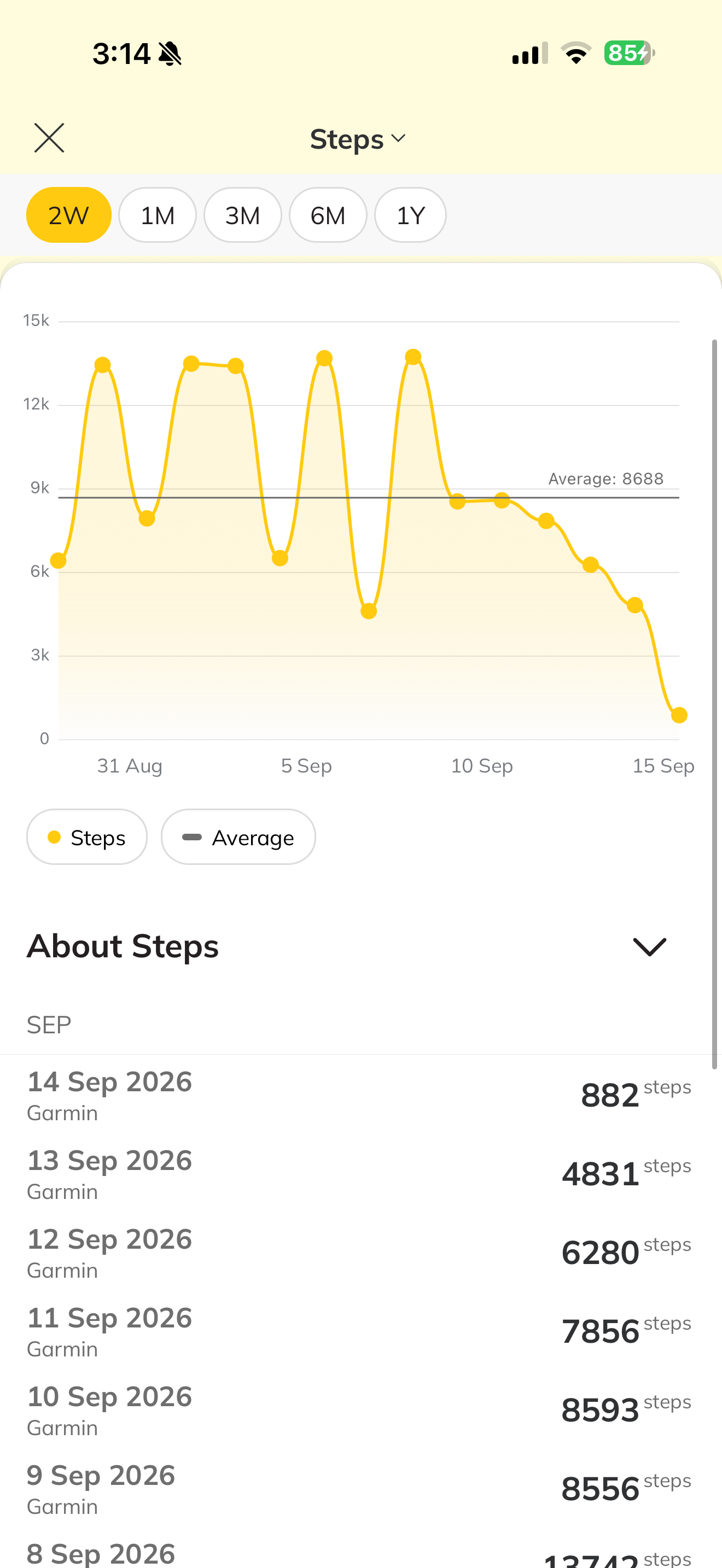 Real GabaFit daily steps chart and dated records